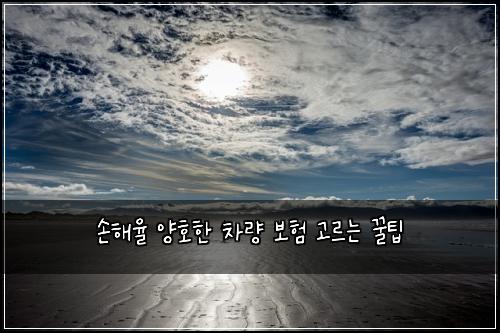 손해율 양호한 차량 보험 고르는 꿀팁