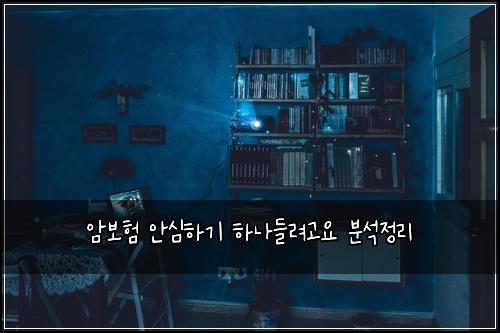 암보험 안심하기  하나들려고요 분석정리
