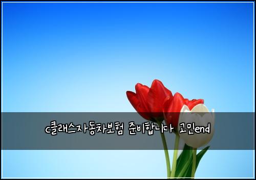 cํด๋์ค์๋์ฐจ๋ณดํ ์ค๋นํฉ๋๋ค ๊ณ ๋ฏผend