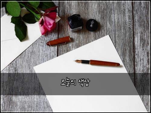 오늘의 색상