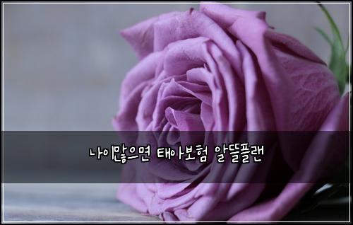 나이많으면 태아보험 알뜰플랜 