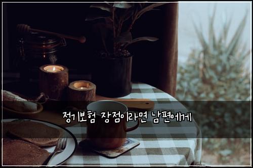 정기보험 장점이라면  남편에게