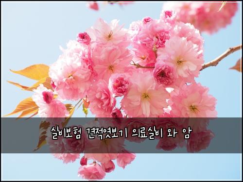 실비보험 견적엿보기  의료실비 와 암