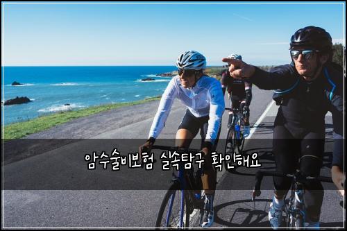 암수술비보험 실속탐구  확인해요