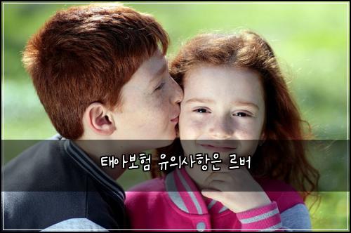 νμ보ν μ μμ¬νμ λ₯΄λ²