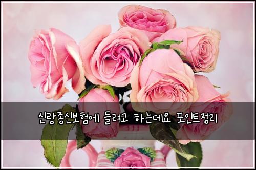 μ λμ’
μ 보νμ λ€λ €κ³ νλλ°μ ν¬μΈνΈμ 리
