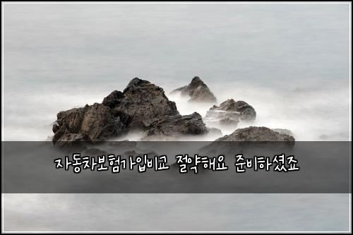 μλ차보νκ°μ
λΉκ΅ μ μ½ν΄μ μ€λΉνμ
¨μ£