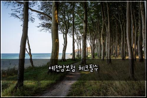 예전암보험 체크필수 