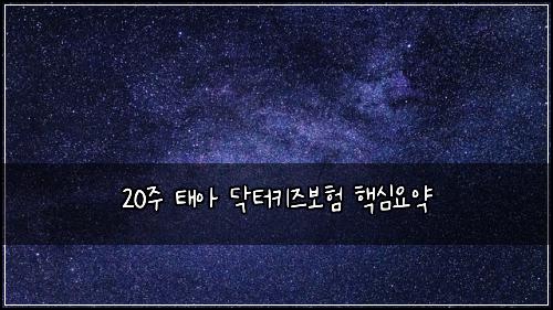 20주 태아 닥터키즈보험 핵심요약 