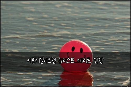 ์ด๋ฆฐ์ด์ค๋น๋ณดํ ๋ด๋ฆฌ์คํธ ๋ฉ๋ฆฌ์ธ ๊ฑด๊ฐ