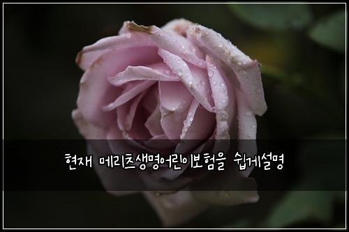 ํ์ฌ ๋ฉ๋ฆฌ์ธ ์๋ช
์ด๋ฆฐ์ด๋ณดํ์ ์ฝ๊ฒ์ค๋ช