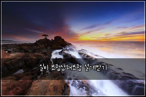 실비 보험상해보험 설계받기