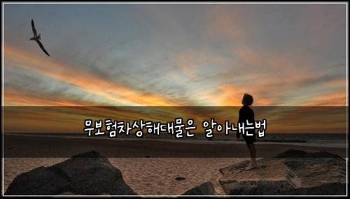 ๋ฌด๋ณดํ์ฐจ์ํด๋๋ฌผ์ ์์๋ด๋๋ฒ