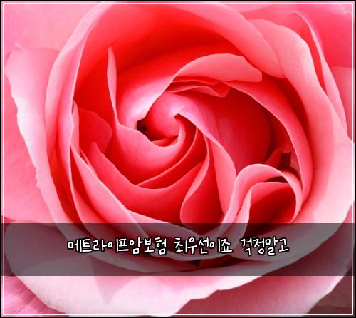 ๋ฉํธ๋ผ์ดํ์๋ณดํ ์ต์ฐ์ ์ด์ฃ ๊ฑฑ์ ๋ง๊ณ