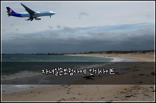 μλ
μ€μ보νμ¬μ μΈκΈ°μ¬μ΄νΈ