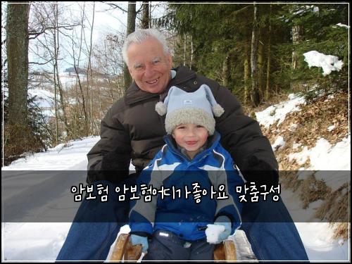 암보험 암보험어디가좋아요 맞춤구성