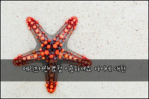 ๋ฉ๋ฆฌ์ธ ์ด๋ฆฐ์ด๋ณดํ ์ด์ฉํ์ธ์ ์์ด์ ๋ํ