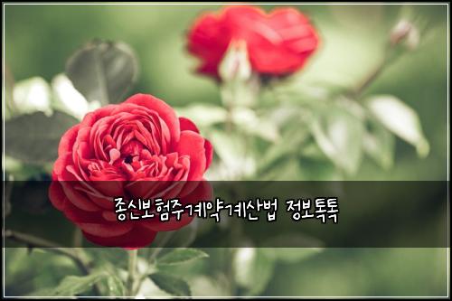 ์ข
์ ๋ณดํ์ฃผ๊ณ์ฝ๊ณ์ฐ๋ฒ ์ ๋ณดํกํก