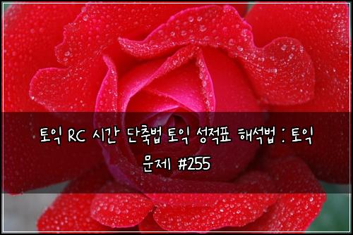 토익 RC 시간 단축법 토익 성적표 해석법 : 토익 문제 #255