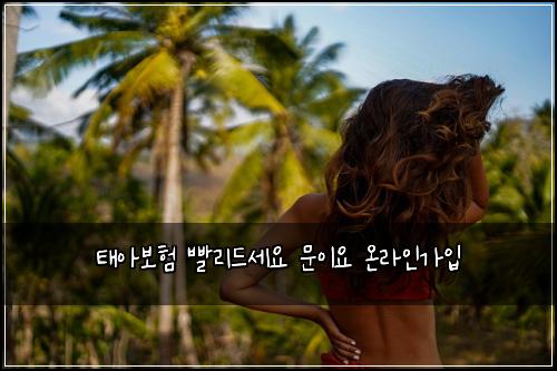 태아보험 빨리드세요  문이요 온라인가입