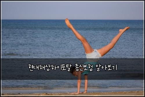 현대해상하이포탈 종신보험 알아보기