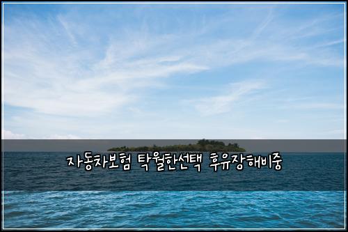 ์๋์ฐจ๋ณดํ ํ์ํ์ ํ ํ์ ์ฅํด๋น์ค
