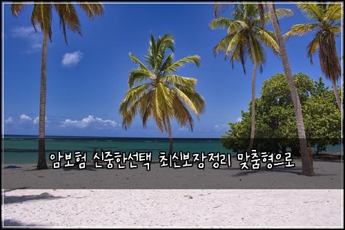 ์๋ณดํ ์ ์คํ์ ํ ์ต์ ๋ณด์ฅ์ ๋ฆฌ ๋ง์ถคํ์ผ๋ก