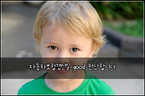 ์๋์ฐจ๋ณดํ๊ฐฑ์ ์ผ good ํ๋จํฉ๋๋ค