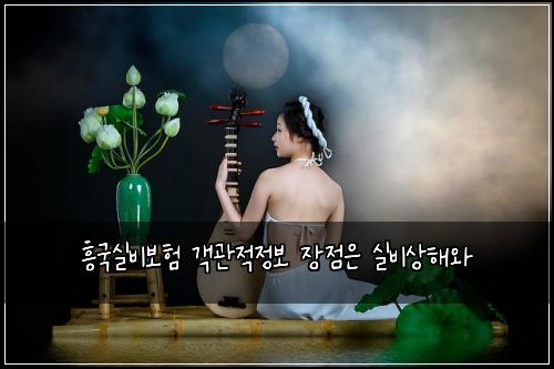 ํฅ๊ตญ์ค๋น๋ณดํ ๊ฐ๊ด์ ์ ๋ณด ์ฅ์ ์ ์ค๋น์ํด์
