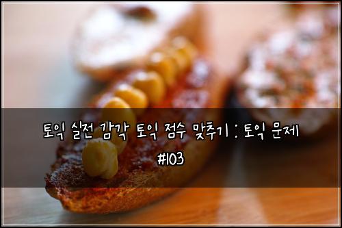 토익 실전 감각 토익 점수 맞추기 : 토익 문제 #103