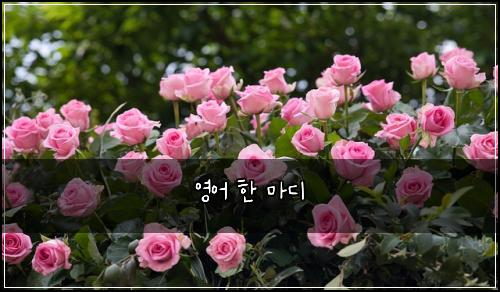 ์์ด ํ ๋ง๋