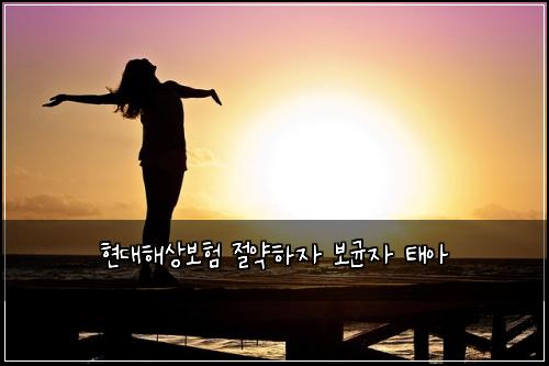 현대해상보험 절약하자  보균자 태아