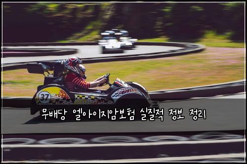 무배당 엘아이지암보험 실질적 정보 정리