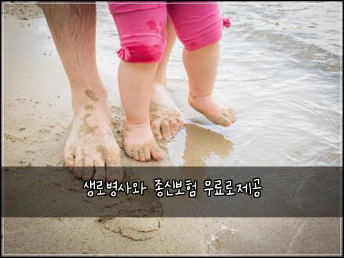 생로병사와 종신보험 무료로제공 
