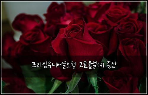νλΌμμ λλ²μ
보ν κ³ ν¨μ¨μ€κ³ μ’
μ