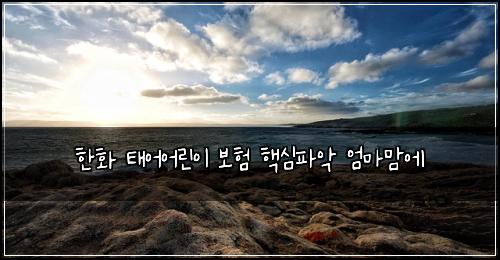 한화 태어어린이 보험 핵심파악  엄마맘에