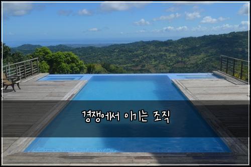경쟁에서 이기는 조직
