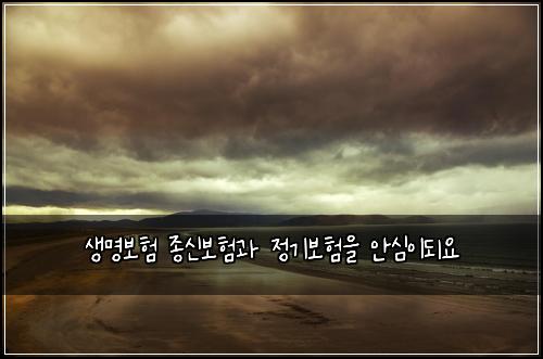 ์๋ช
๋ณดํ ์ข
์ ๋ณดํ๊ณผ ์ ๊ธฐ๋ณดํ์ ์์ฌ์ด๋์
