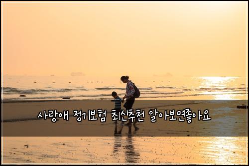 ์ฌ๋์ ์ ๊ธฐ๋ณดํ ์ต์ ์ถ์ฒ ์์๋ณด๋ฉด์ข์์