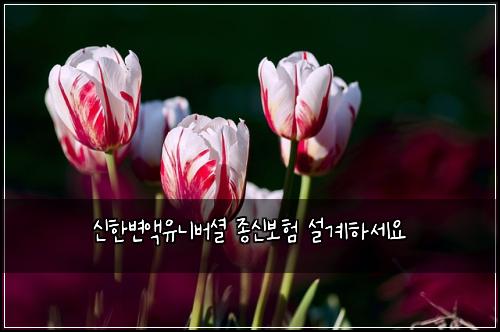 ์ ํ๋ณ์ก์ ๋๋ฒ์
์ข
์ ๋ณดํ ์ค๊ณํ์ธ์