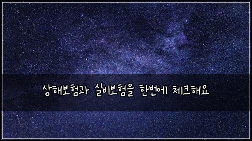 ์ํด๋ณดํ๊ณผ ์ค๋น๋ณดํ์ ํ๋ฒ์ ์ฒดํฌํด์