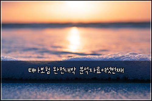 태아보험 완전대박  분석자료여섯번째