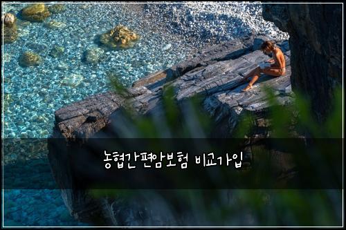 ๋ํ๊ฐํธ์๋ณดํ ๋น๊ต๊ฐ์