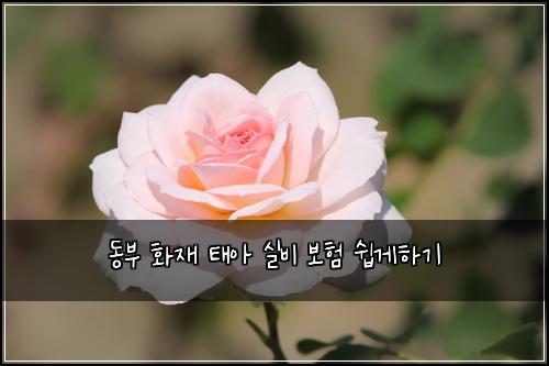 동부 화재 태아 실비 보험 쉽게하기 