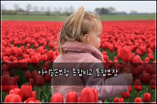 ์์ด์ค์๋ณดํ ์ข
ํฉ๋น๊ต ํตํฉ๋ณด์ฅ