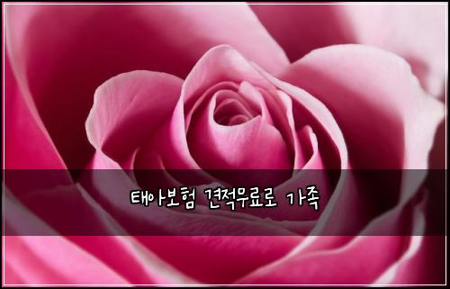 ํ์๋ณดํ ๊ฒฌ์ ๋ฌด๋ฃ๋ก ๊ฐ์กฑ