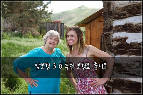 암보험 3 0 추천 보험료 좋지요
