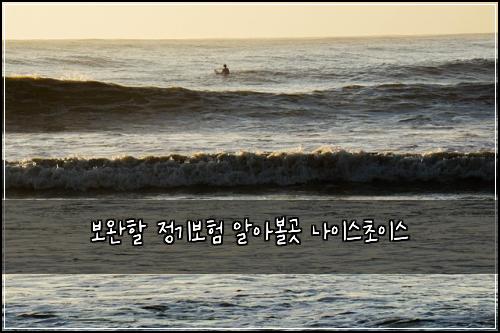 보완할 정기보험 알아볼곳  나이스초이스