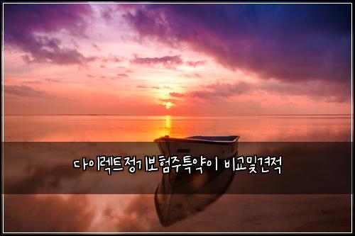 ๋ค์ด๋ ํธ์ ๊ธฐ๋ณดํ์ฃผํน์ฝ์ด ๋น๊ต๋ฐ๊ฒฌ์ 