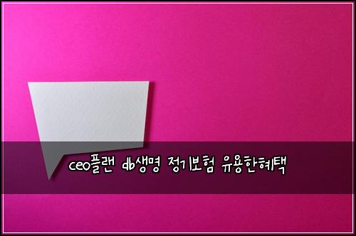 ceo플랜 db생명 정기보험 유용한혜택 